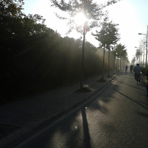 来过一级欧美黄色老妇女毛多水多录像
